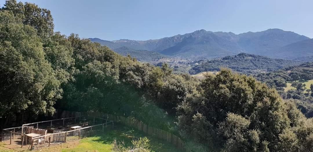 Gites San Austinu Petreto-Bicchisano Esterno foto