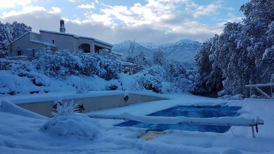 Gites San Austinu Petreto-Bicchisano Esterno foto