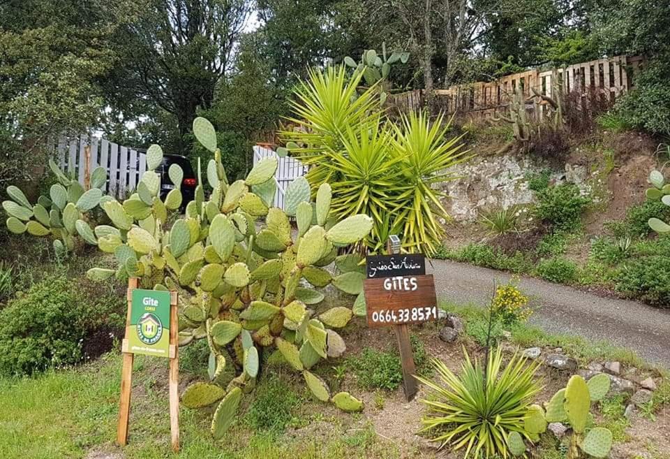 Gites San Austinu Petreto-Bicchisano Esterno foto