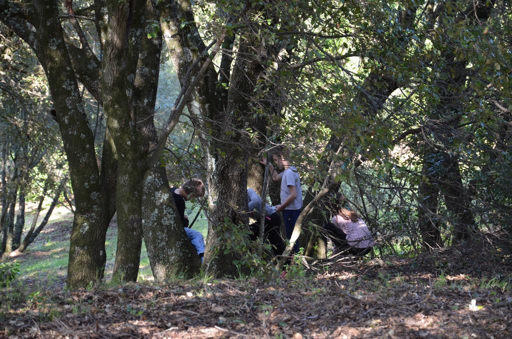 Gites San Austinu Petreto-Bicchisano Esterno foto